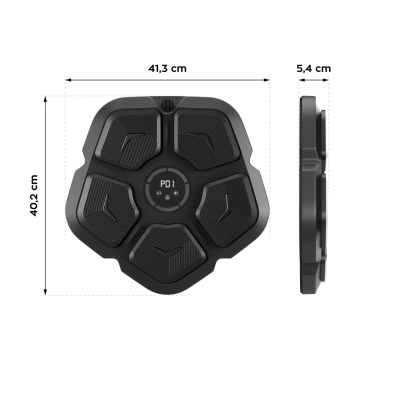 Tinta box muzicala inteligenta conexiune bluetooth 9 viteze antrenamente de box si fitness Incarcare USB