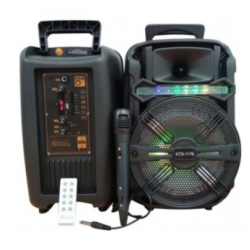 UB Boxa portabila 80W KTS-1176 cu Microfon 
