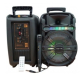 UB Boxa portabila 80W KTS-1176 cu Microfon 