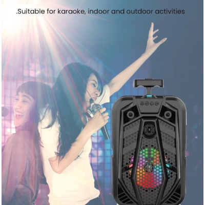 UB Boxa Portabila Tip Troler ZQS-8133 cu Microfon 100W