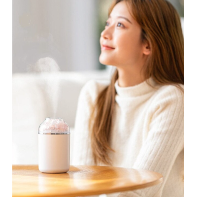 Umidificator si Difuzor de Aromaterapie cu Flori 2 Moduri de Pulverizare