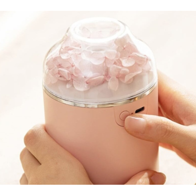 Umidificator si Difuzor de Aromaterapie cu Flori 2 Moduri de Pulverizare