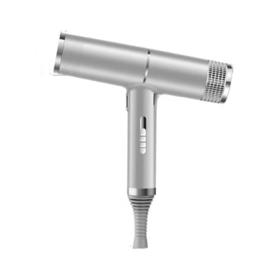 Uscator de par Profesional Q-M620 2200W