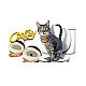 Citi Kitty Colac adaptabil pentru educarea/dresarea pisicii Citi Kitty Colac adaptabil pentru educarea/dresarea pisicii