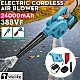 Suflanta electrica cu un acumulator 21V 3000 mHa Suflanta electrica cu un acumulator 21V 3000 mHa