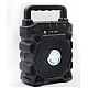 Boxa Portabila Bluetooth KTS 1080