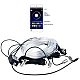 Lumini Ambientale Auto Bluetooth cu LED 6M Fibra Optica 5 Capete Controlabile cu Aplicatie Lotus Lantern Lumini Ambientale Auto Bluetooth cu LED 6M Fibra Optica 5 Capete Controlabile cu Aplicatie Lotus Lantern