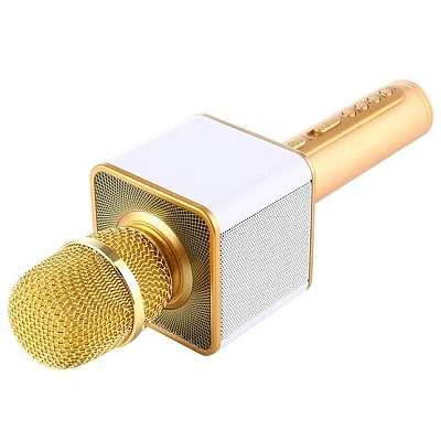 Microfon SD-08 AURIU Karaoke fara fir SDRD Microfon SD-08 AURIU Karaoke fara fir SDRD