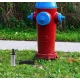 Pompa Auto submersibila MARE  12V  52mm Electrica 20 l/min 30 MXM