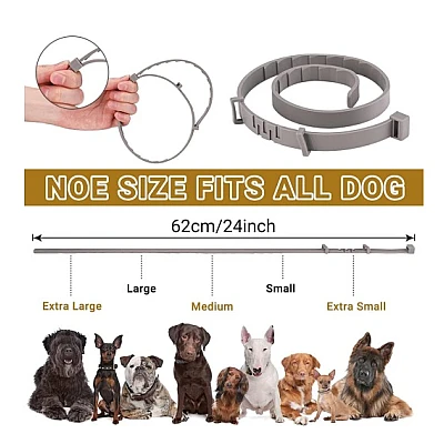 Set 2 x Zgarda CAINI anti purici si capuse 62 cm / 60 grame Antiparazitara Set 2 x Zgarda CAINI anti purici si capuse 62 cm / 60 grame Antiparazitara