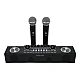 Sistem de Mixare Karaoke + 2 Microfon fara Fir Sistem de Mixare Karaoke + 2 Microfon fara Fir