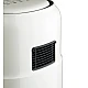 Friteuza cu aer cald 4.9 Lt AirFryier RAF R5361B Friteuza cu aer cald 4.9 Lt AirFryier RAF R5361B
