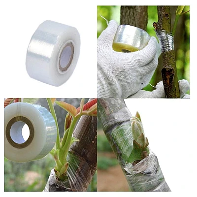 Banda pentru altoit transparenta 3cm tip strech AN Banda pentru altoit transparenta 3cm tip strech AN