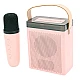 Difuzor portabil si Microfon Karaoke fara fir Bluetooth 5.3 Roz Difuzor portabil si Microfon Karaoke fara fir Bluetooth 5.3 Roz