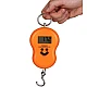 Cantar Digital De Mana Portabil, Maxim 40 Kg Cantar Digital De Mana Portabil, Maxim 40 Kg