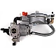 Carburator conversie GPL-Benzina, 7.5 HP, pentru moto-pompe Carburator conversie GPL-Benzina, 7.5 HP, pentru moto-pompe