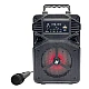 Difuzor Woofer KTS 1513 Portabil pentru Exterior cu Functii Bluetooth MP3 si Karaoke Difuzor Woofer KTS 1513 Portabil pentru Exterior cu Functii Bluetooth MP3 si Karaoke