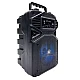 Difuzor Woofer KTS 1513 Portabil pentru Exterior cu Functii Bluetooth MP3 si Karaoke Difuzor Woofer KTS 1513 Portabil pentru Exterior cu Functii Bluetooth MP3 si Karaoke