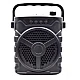 Boxa portabila ZQS-6128 pentru Karaoke Boxa portabila ZQS-6128 pentru Karaoke