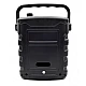 Boxa portabila ZQS-6128 pentru Karaoke Boxa portabila ZQS-6128 pentru Karaoke