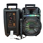 Boxa portabila 80W KTS-1176 cu Microfon 