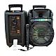 Boxa portabila 80W KTS-1176 cu Microfon