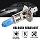 Set 2 becuri Pegasus H1 Skyline Xenon Look auto-tec halogen Set 2 becuri Pegasus H1 Skyline Xenon Look auto-tec halogen