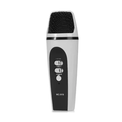 Microfon Mini MC-919 Karaoke  cu Fir USB