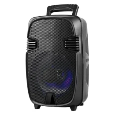 Boxa Bluetooth wireless portabila reincarcabila GTS 1248 de 8 inci cu maner extra bass