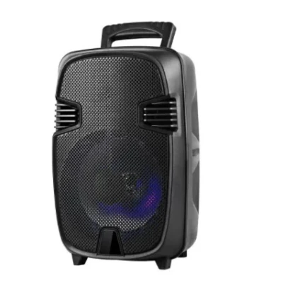 Boxa Bluetooth wireless portabila reincarcabila GTS 1248 de 8 inci cu maner extra bass