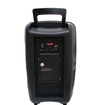Boxa Bluetooth wireless portabila reincarcabila GTS 1248 de 8 inci cu maner extra bass