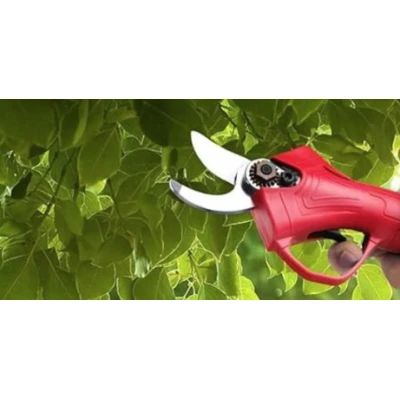 Foarfeca electrica pentru vita de vie crengi cu 2 Acumulatori 48V
