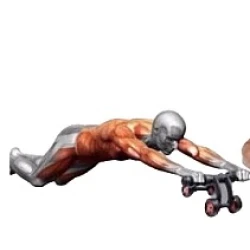 Aparat fitness cu 4 roti JS285 pentru abdomen si spate