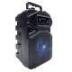 Difuzor Woofer KTS 1513 Portabil pentru Exterior cu Functii Bluetooth MP3 si Karaoke