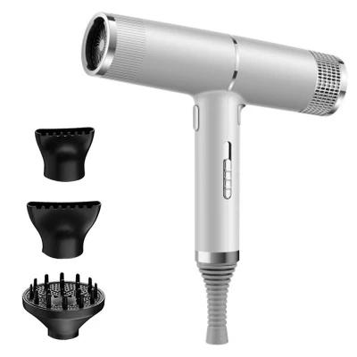 Uscator de par Profesional Q-M620 2200W