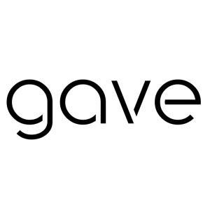 GAVE.RO logo