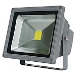 Proiector LED Exterior 20W