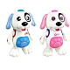 Catelus dansator muzical Dancing Dog Catelus dansator muzical Dancing Dog
