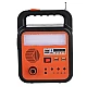 Kit solar YC-T02 cu lanterna si 3 becuri Kit solar YC-T02 cu lanterna si 3 becuri