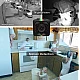 Camera PATRATA SQ11 FHD rezolutie reglabila 720p si 1080p Camera PATRATA SQ11 FHD rezolutie reglabila 720p si 1080p