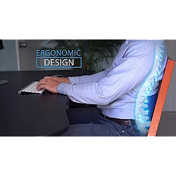 Perna ergonomica Comfy Curve Gri cu albastru pentru sustinere lombara si spate Perna ergonomica Comfy Curve Gri cu albastru pentru sustinere lombara si spate