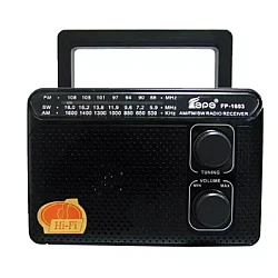 Radio portabil ROTOSONIC FP-1603 cu 3 benzi