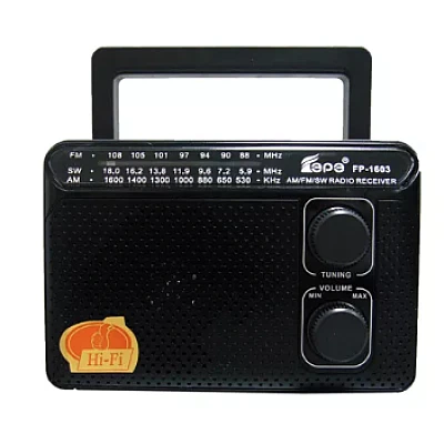 Radio portabil ROTOSONIC FP-1603 cu 3 benzi Radio portabil ROTOSONIC FP-1603 cu 3 benzi