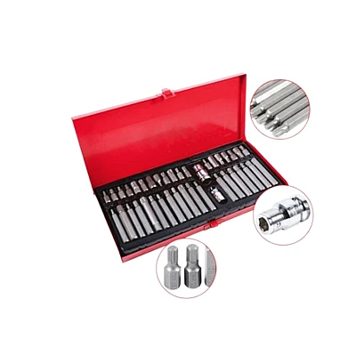 Trusa profesionala 41 piese biti si torx Trusa profesionala 41 piese biti si torx