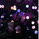 Set 2 Lampi LED decorative de gradina cu 6 bulbi incarcare solara si senzor de miscare cu lumina multicolora Set 2 Lampi LED decorative de gradina cu 6 bulbi incarcare solara si senzor de miscare cu lumina multicolora