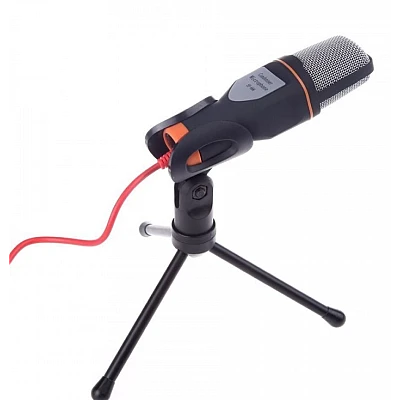 Microfon Profesional SF666 pentru Inregistrare Vocala Si Karaoke Negru Microfon Profesional SF666 pentru Inregistrare Vocala Si Karaoke Negru