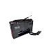 Radio XB-394 portabil cu MP3 Player și lanterna AM/FM/SW | Radio XB-394 portabil cu MP3 Player și lanterna AM/FM/SW |