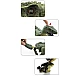 Jucarie 3D dinozaur cu lumini dinosaur assassin Jucarie 3D dinozaur cu lumini dinosaur assassin