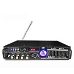 Amplificator de karaoke digital portabil cu Bluetooth egalizator USB Si intrare auxiliara