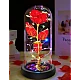 Lampa portabila led cu trandafir iluminat in interior RD C172 Lampa portabila led cu trandafir iluminat in interior RD C172